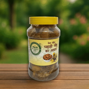 Pahadi Nimbu Ka Achar made from Himalayan lemons by Kumaon Herbal